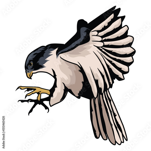 falcon diving with separate white background