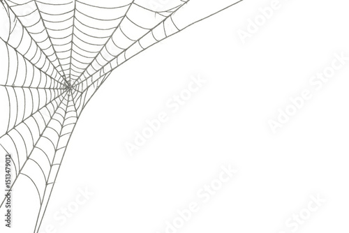 Spider web covering corner on transparent background for halloween decoration