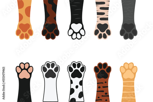 Dog pets paws up set. Cute dog feet with colorful fur. Puppy paw set