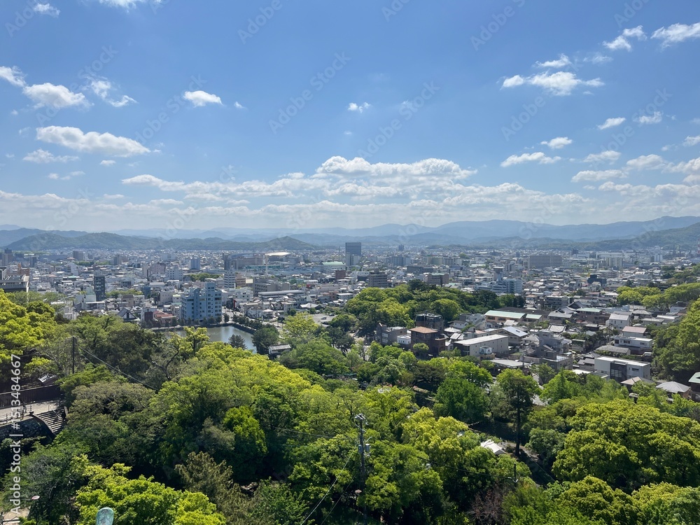 Obraz premium 和歌山城から見た和歌山市