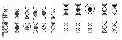 Illustration of various DNA double helix structures displayed in a clear and organized manner for educational purposes