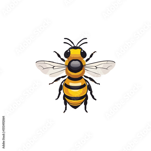 honey bee