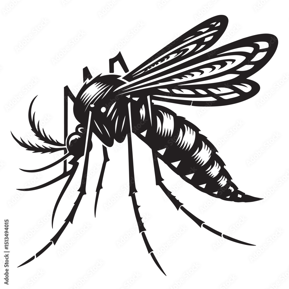 Obraz premium Mosquito vector illustration