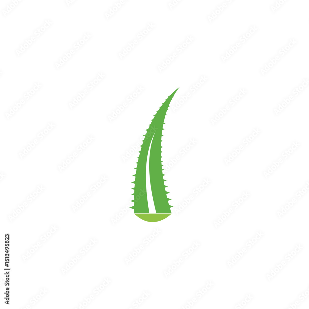 Naklejka premium aloe vera green leaf logo and vector template