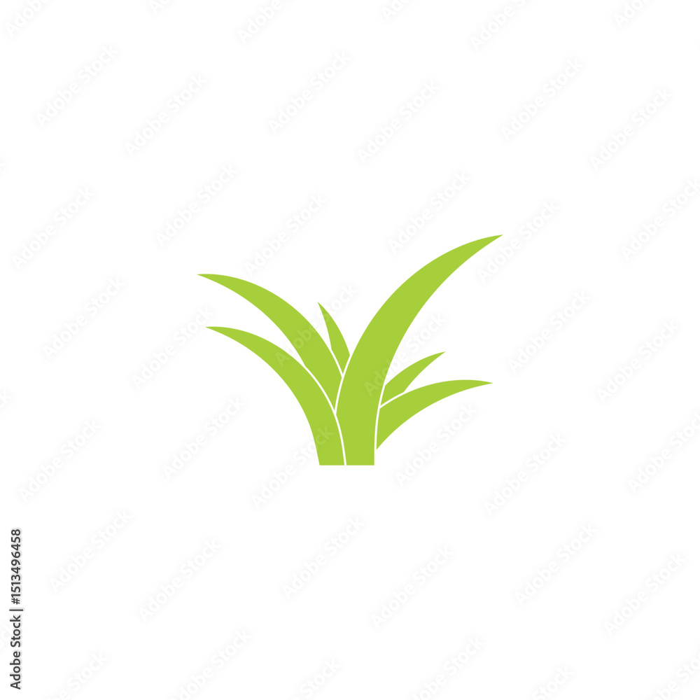 Fototapeta premium aloe vera green leaf logo and vector template