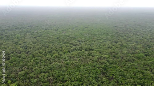 Sundarban,Bangladesh.Drone View.