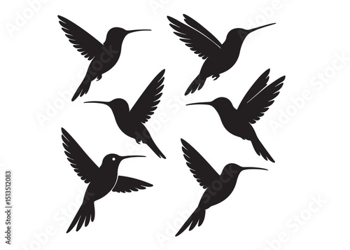 Hummingbird logo silhouette vector illustration,
hummingbird logo vector icon illustration, colibri flying bird logo vector silhouette, humming birds silhouette vector illustration on white background