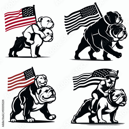 bulldog with american flag Giving a piggyback ride. 4th of July Independence Day Patriotism USA Clipart Vector Illustration. English dog hoisting stars and stripes banner while carrying.