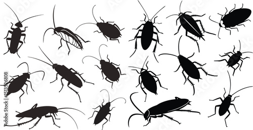Cockroach silhouette. This image shows a black silhouette of a cockroach with detailed antennae, legs, and segmented body, symbolizing a common pest insect. Vector clipart illustration design
