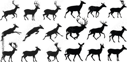 deer, silhouette, animal, wildlife, mammal, nature, standing, forest, design, vector, graphic, illustration, wild, woodland