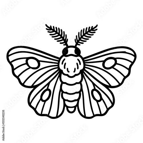 Silkworm Moth Doodle - Order Lepidoptera