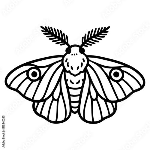 Silkworm Moth Doodle - Order Lepidoptera