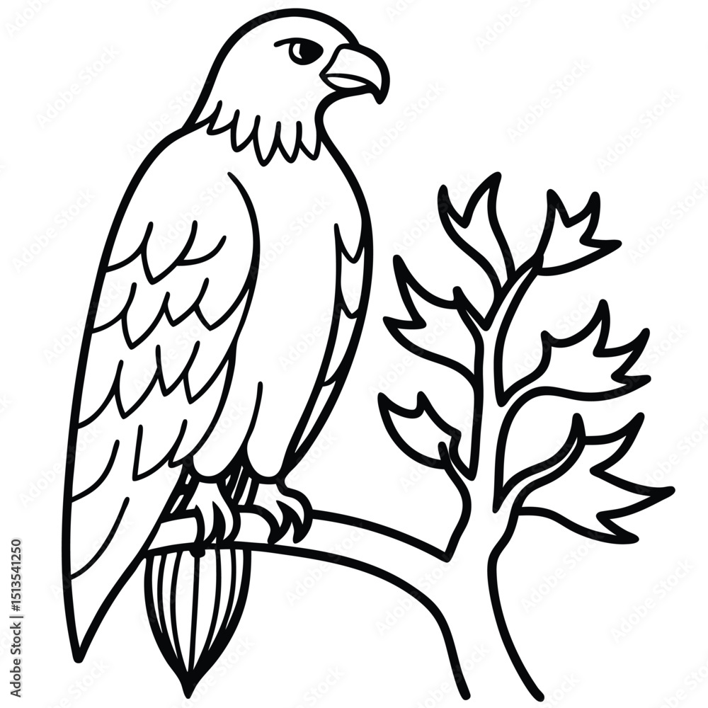 Fototapeta premium beautiful eagle bird vector illustration