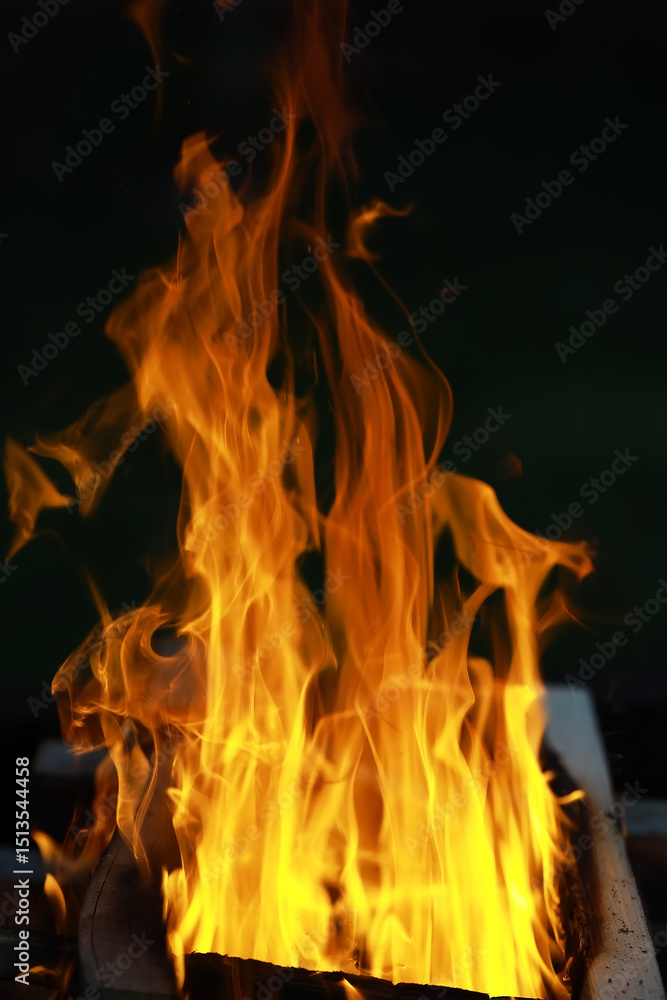 Fototapeta premium Close-up of Intense Burning Fire Flames on Dark Background