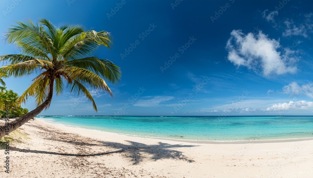 panorama banner photo of idyllic tropical beach with palm tree panorama banner photo of idyllic tropical beach with palm tree