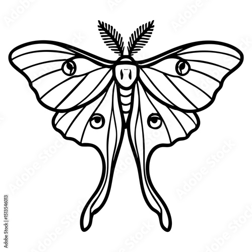 Luna Moth Doodle - Order Lepidoptera