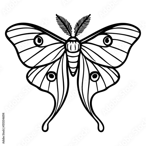 Luna Moth Doodle - Order Lepidoptera