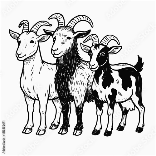 Vector Illustration of Three Goats – Hand-Drawn Farm Animal Line Art