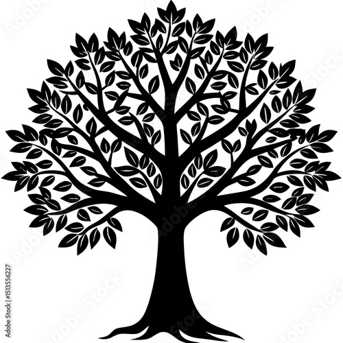 
Black Tree silhouettes in black on white background Pro Vector