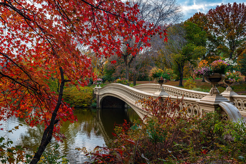 Photography Bow bridge in autumn, Central Park