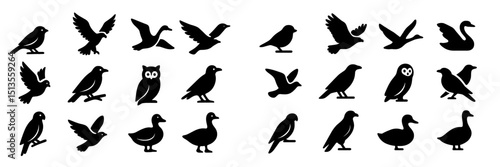 Various bird silhouettes in different poses highlighting diversity among bird species