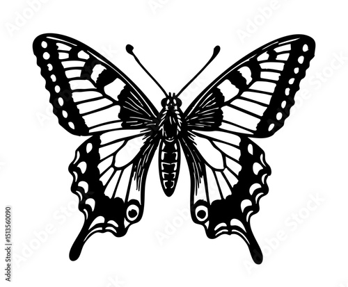 Swallowtail Butterfly Doodle - Order Lepidoptera