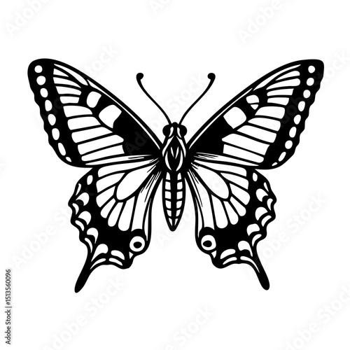 Swallowtail Butterfly Doodle - Order Lepidoptera