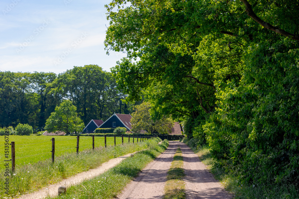 Obraz premium Spring landscape, Gravel path in between forest, farmland and farmhouse, Landgoed Mentink nature preserve in Winterswijk, A village in the easternmost part of the Achterhoek, Gelderland, Netherlands.