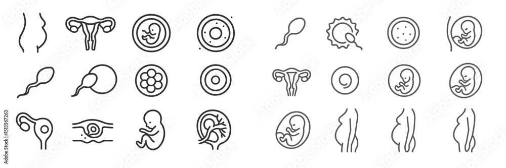 Illustration of human reproductive processes including fertilization, embryo development, and pregnancy stages Illustration of human reproductive processes including fertilization, embryo development, and pregnancy stages