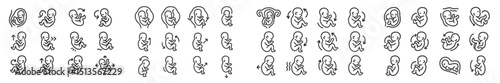 Collection of decorative line art featuring various abstract fetal designs in an artistic arrangement