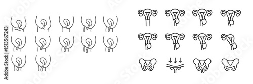 Graphics showcasing female reproductive system anatomy and functions for educational purposes