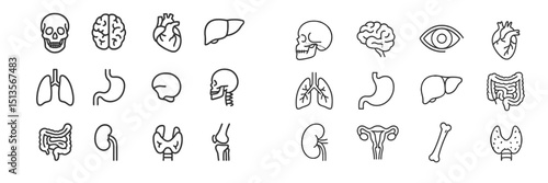Various human anatomy outlines displayed in a clear and organized layout for educational purposes