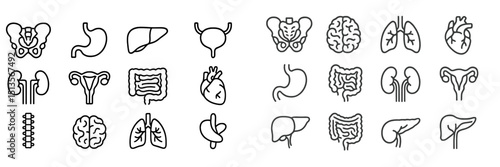 Collection of simple line icons representing various human organs arranged in neat rows on a light background