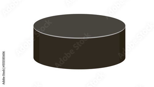 Black Ice Hockey Puck