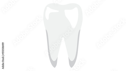 Human Molar Tooth Dental Icon