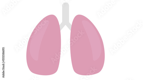 Pair of Human Lungs Anatomy Icon