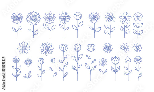 A collection of minimal modern vector-style flower illustrations,  Include a wide variety of stylized flower designs with different petal shapes and arrangements, easily scalable and editable.