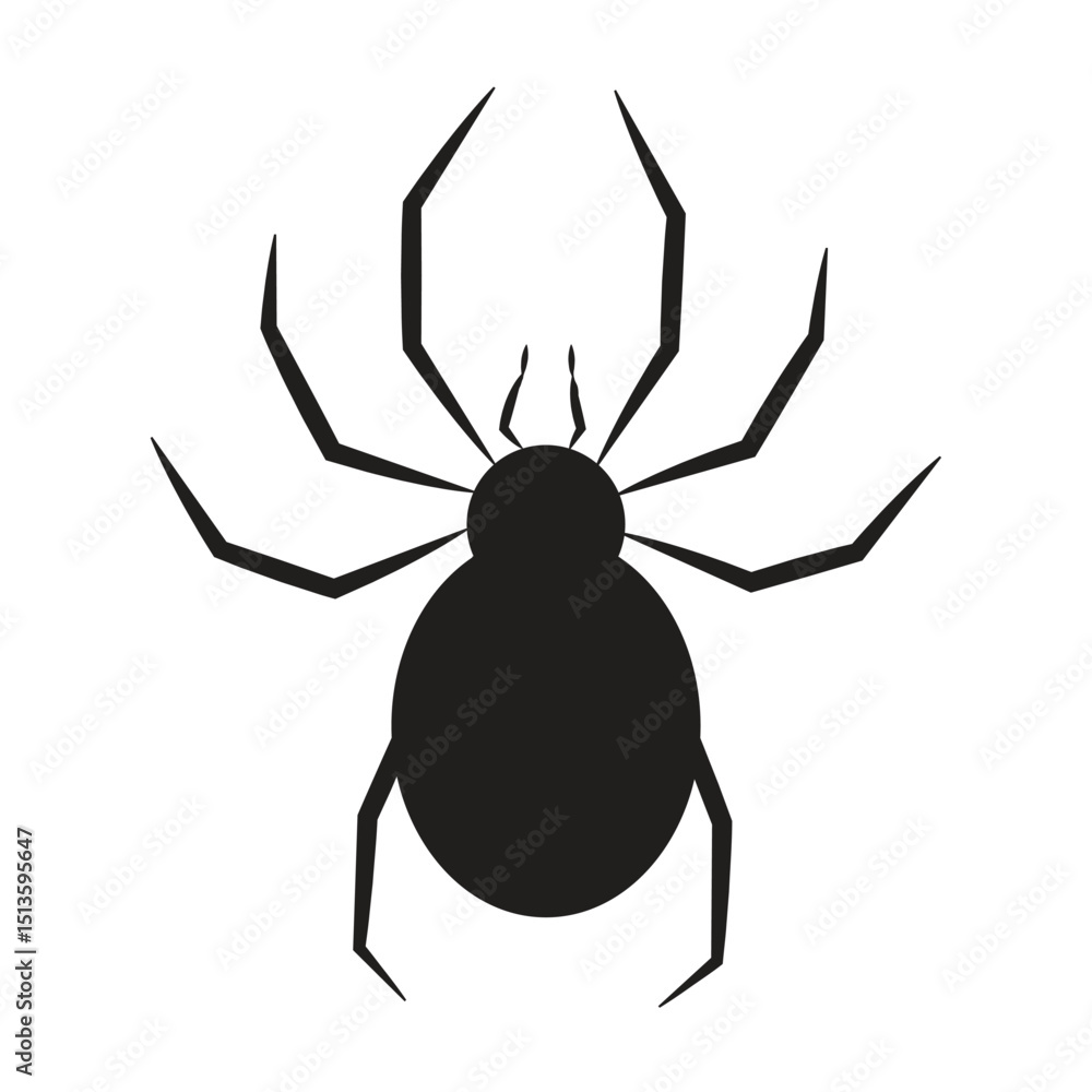 Obraz premium spider on a white background