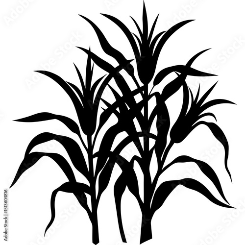 Corn stalk silhouette