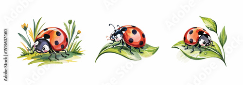 Whimsical Watercolor Ladybug Illustrations Three Charming Beetles on Leaves and Grass