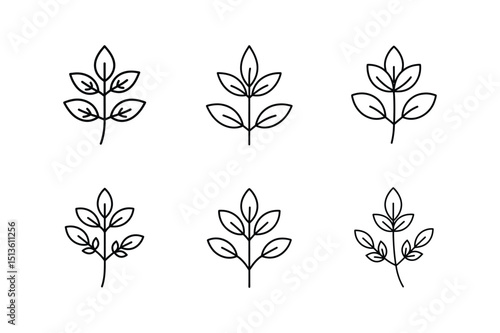 oregano plant line art vector illustration