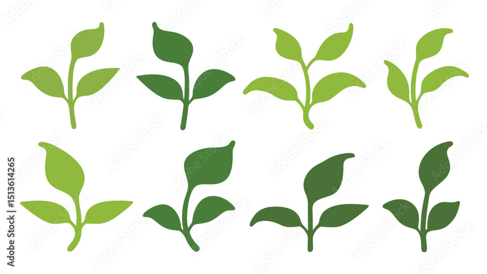 Obraz premium Green Young Plant Vector Leaf Designs