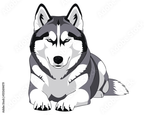 Majestic Siberian Husky Dog Illustration with Wolf-Like Features for Pet and Canine Lovers