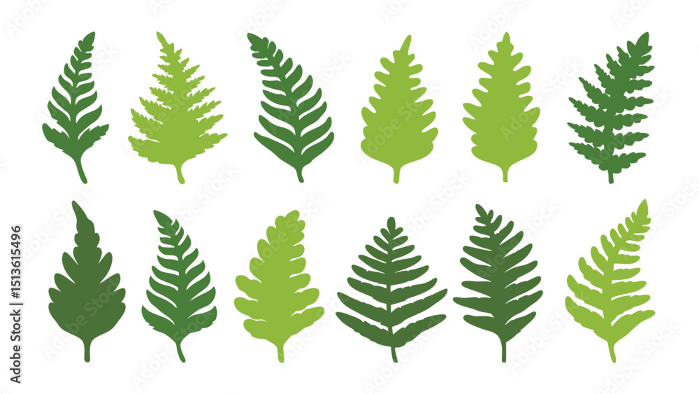 Obraz premium Set of colorful fern silhouettes vector