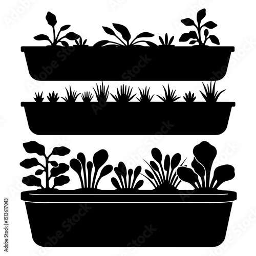 Hydroponic tray system growing leafy vegetables silhouette in black and white, urban agtech