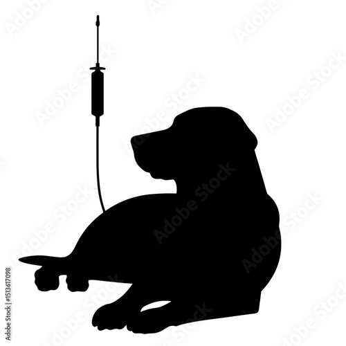 Dog with IV drip silhouette in black and white, veterinary care and recovery