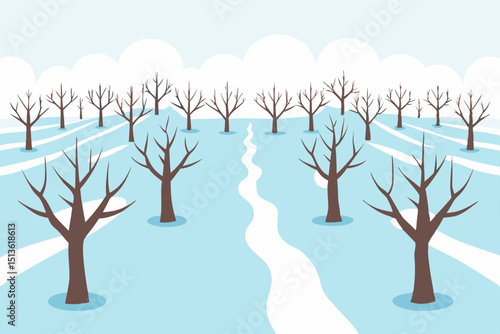 wintery orchard with rows of leafless trees 