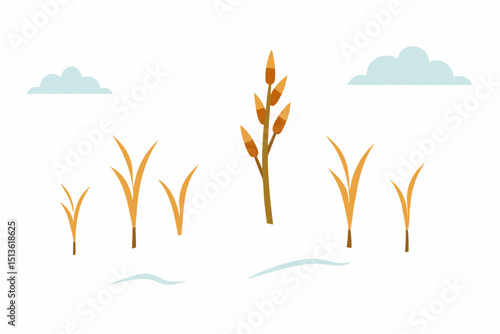 wintry field with dried corn stalks poking through