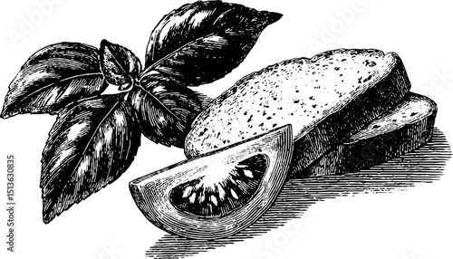 Vintage engraving of bruschetta ingredients with tomato and basil for culinary art and design