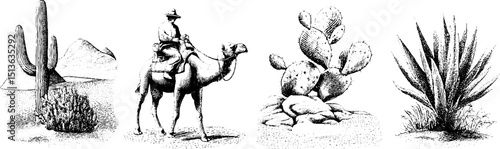 Engraved illustrations of desert caravan and cactus landscape elements